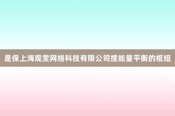 是保上海观雯网络科技有限公司捏能量平衡的枢纽