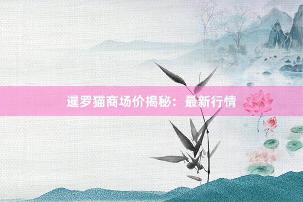 暹罗猫商场价揭秘：最新行情